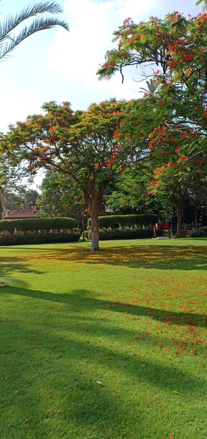 Sakkara Country Club Hotel El Hawamdeya Kültér fotó